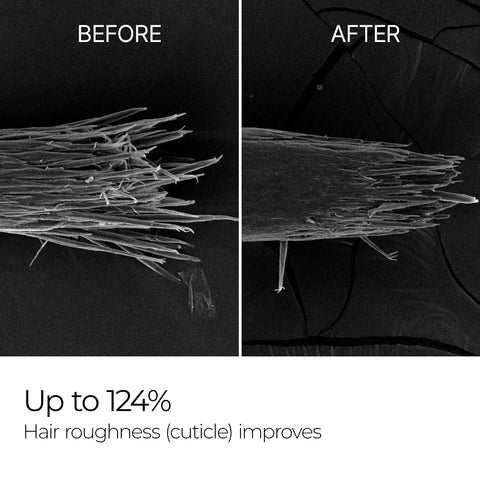 [HOLIDAY EXCLUSIVE] Total Renewal Elite Set