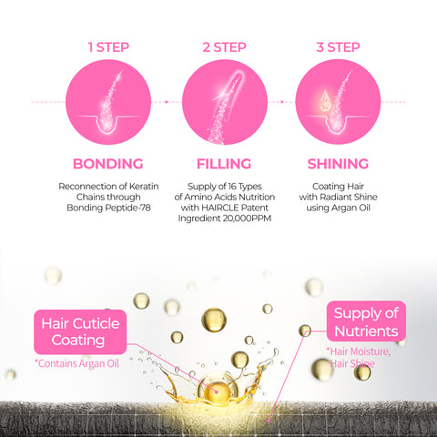 [HOLIDAY EXCLUSIVE] Total Renewal Elite Set