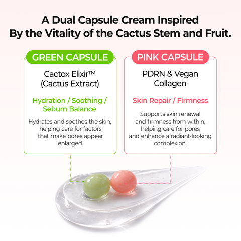 Cactox Pore Dual Capsule Cream