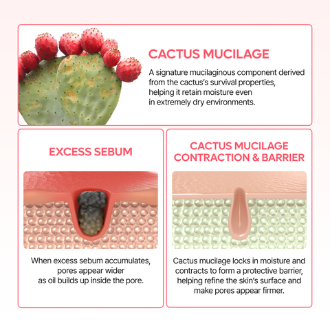 Cactox Pore Dual Capsule Cream
